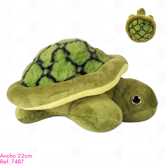 Tortuga / 22cm