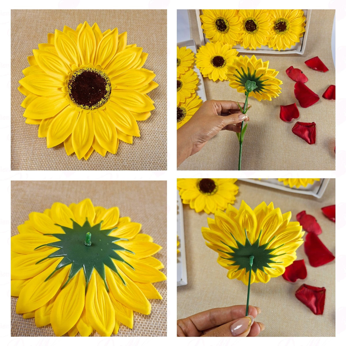 Girasol de jabón