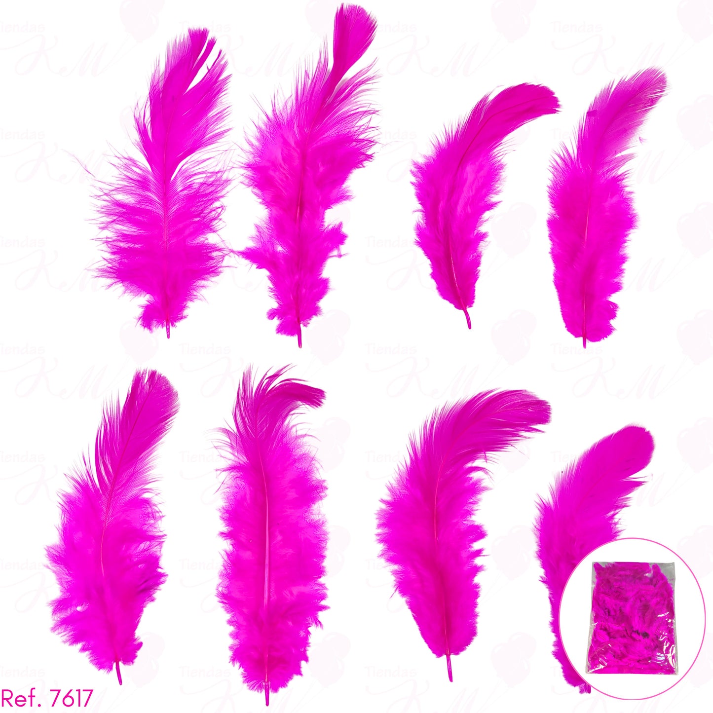 Plumas decorativas