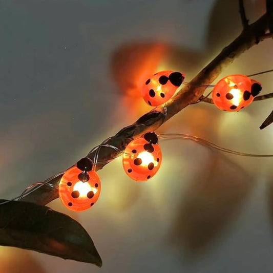 Luz de mariquitas