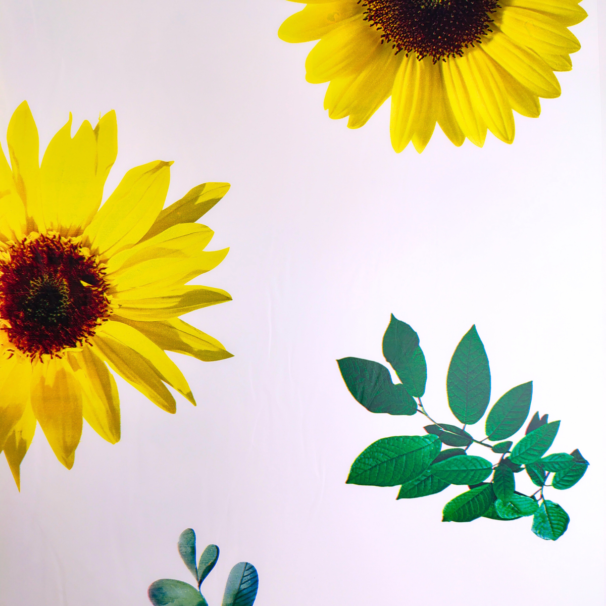 Papel coreano de girasoles X 20