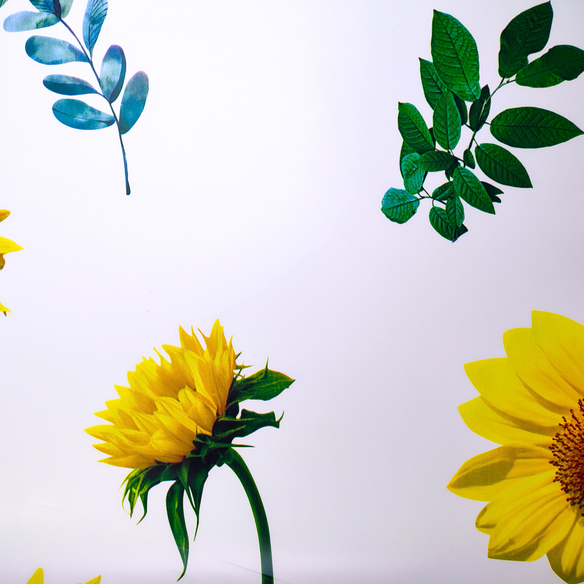 Papel coreano de girasoles X 20