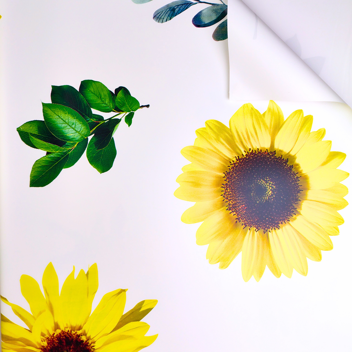 Papel coreano de girasoles X 20