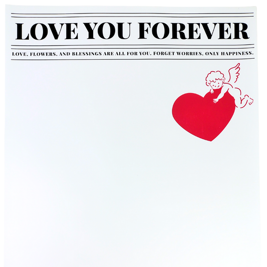 Papel coreano x 20 hojas de 35cm x 50cm