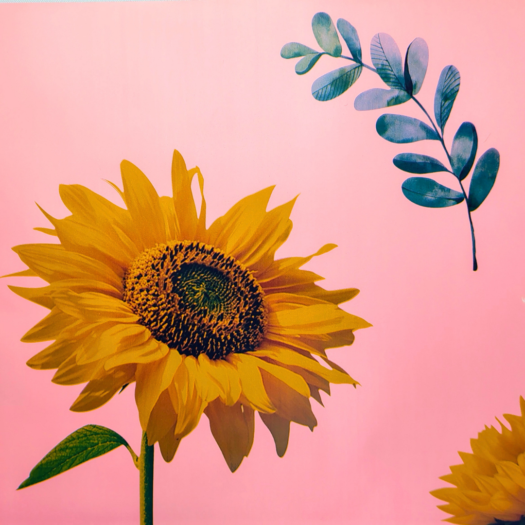 Papel coreano de girasoles X 20