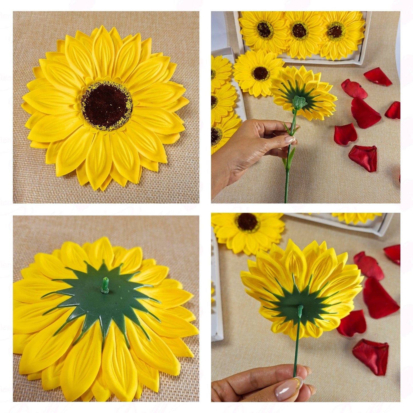 Girasol de jabón