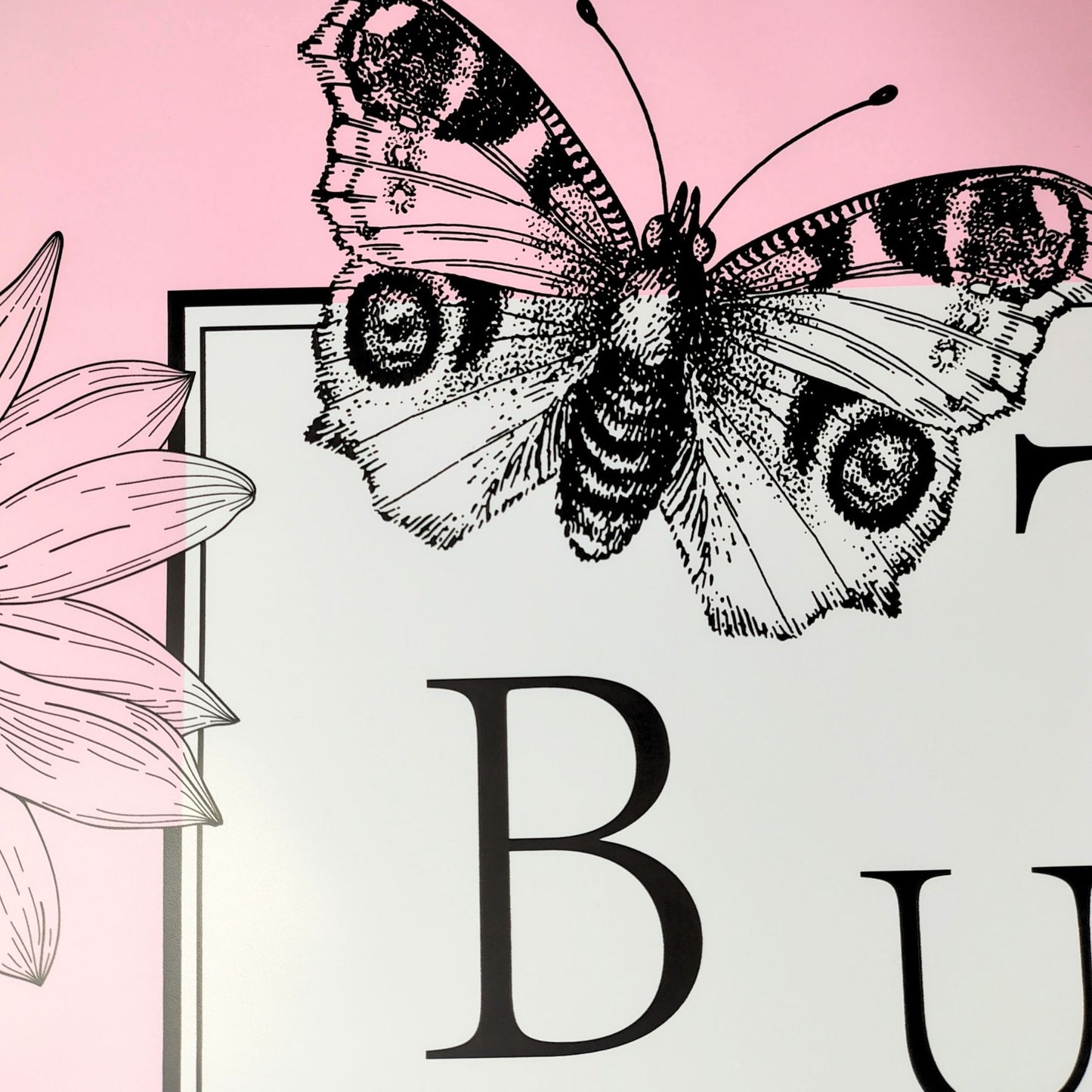 Papel coreano solido con mariposas