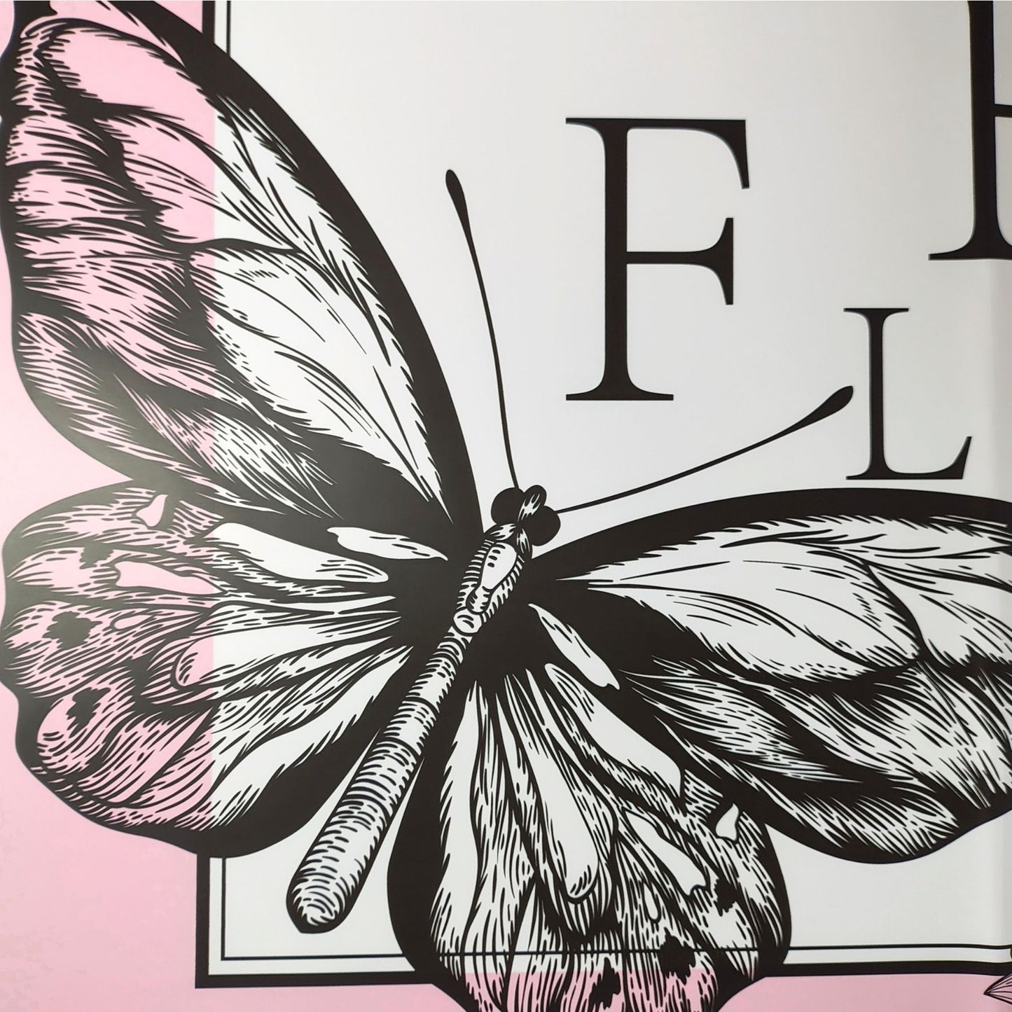 Papel coreano solido con mariposas