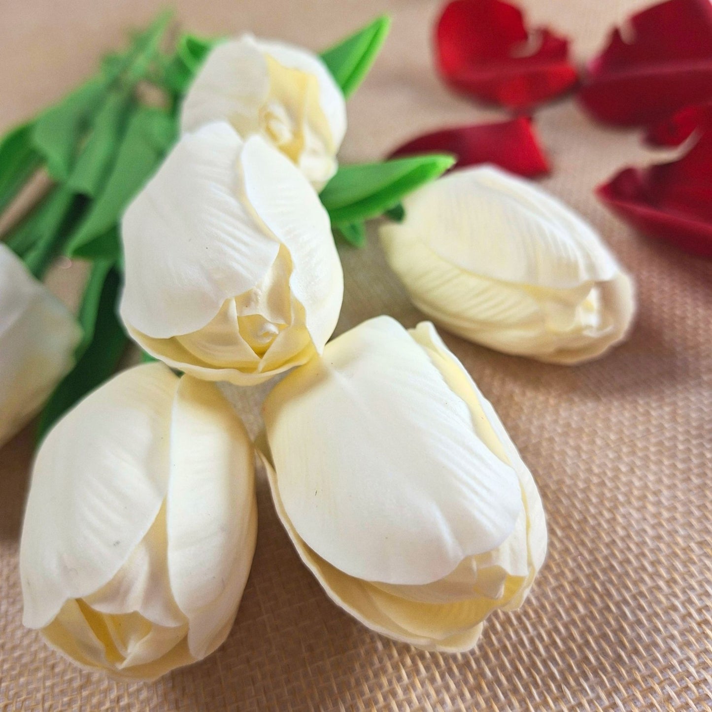 Tulipan de jabón