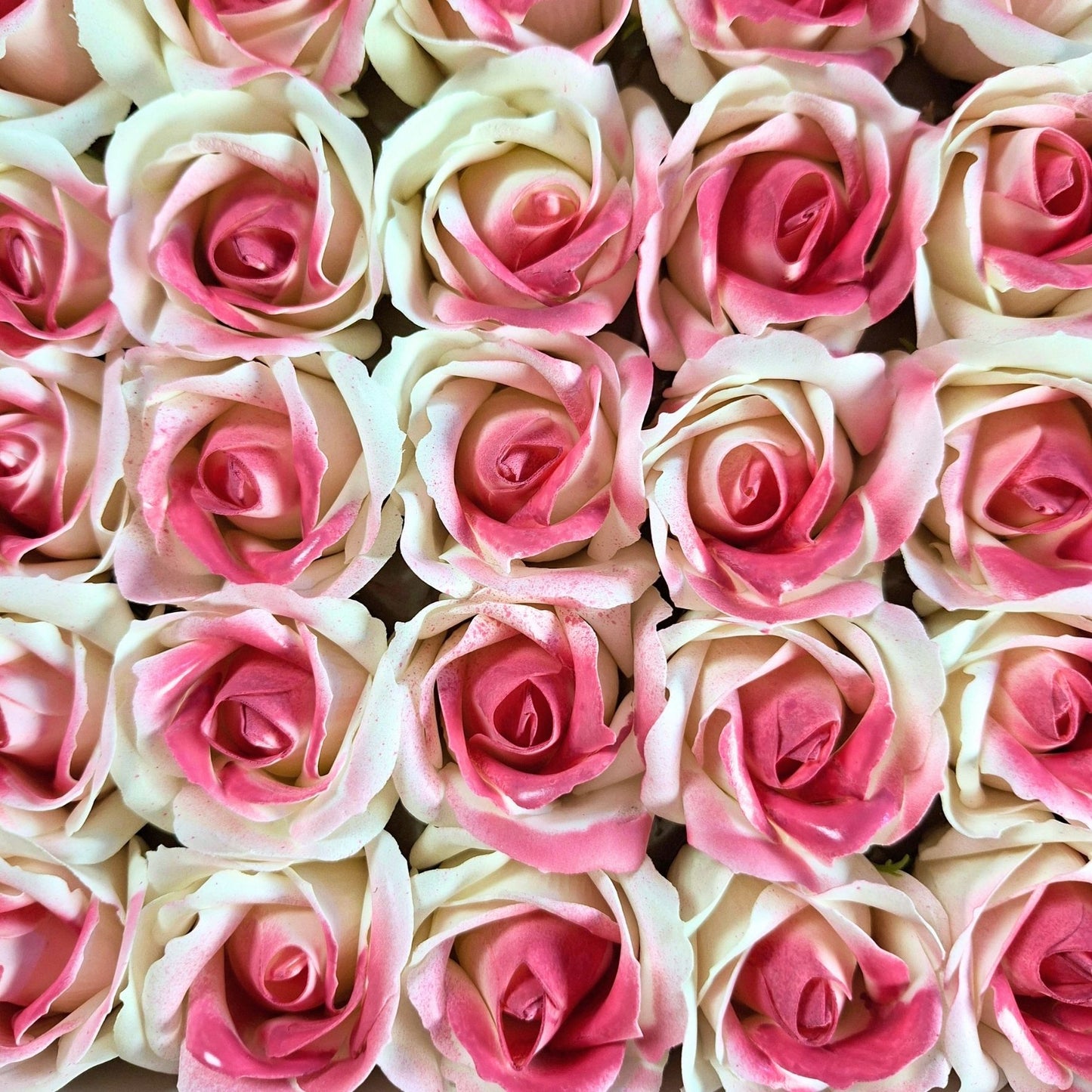 Rosa de jabón de dos colores