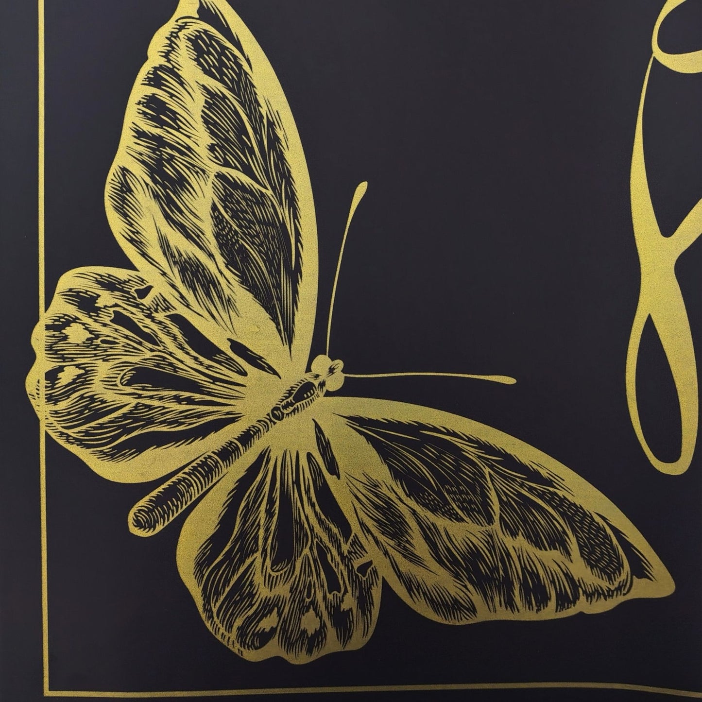 Papel coreano love corazón y mariposas