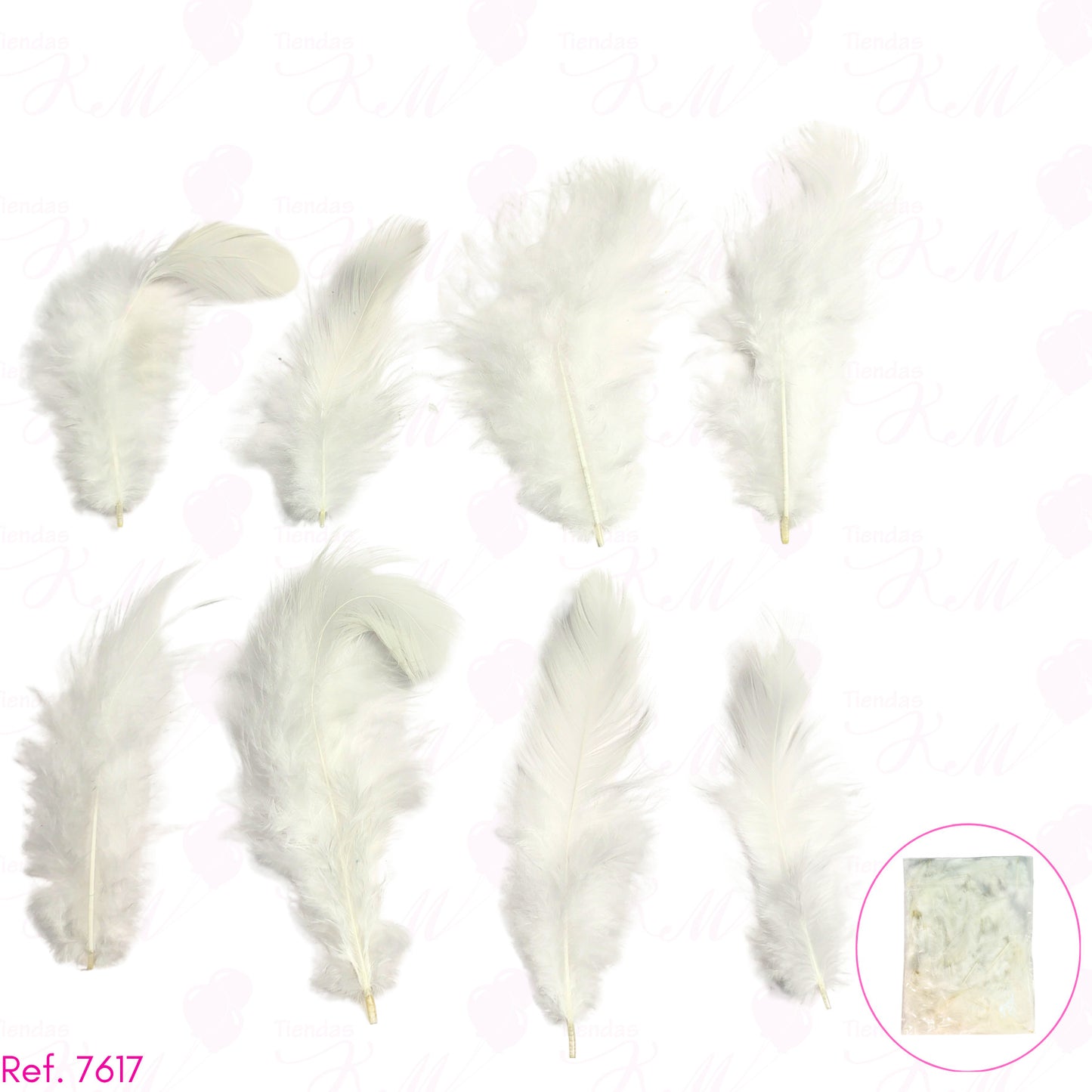 Plumas decorativas