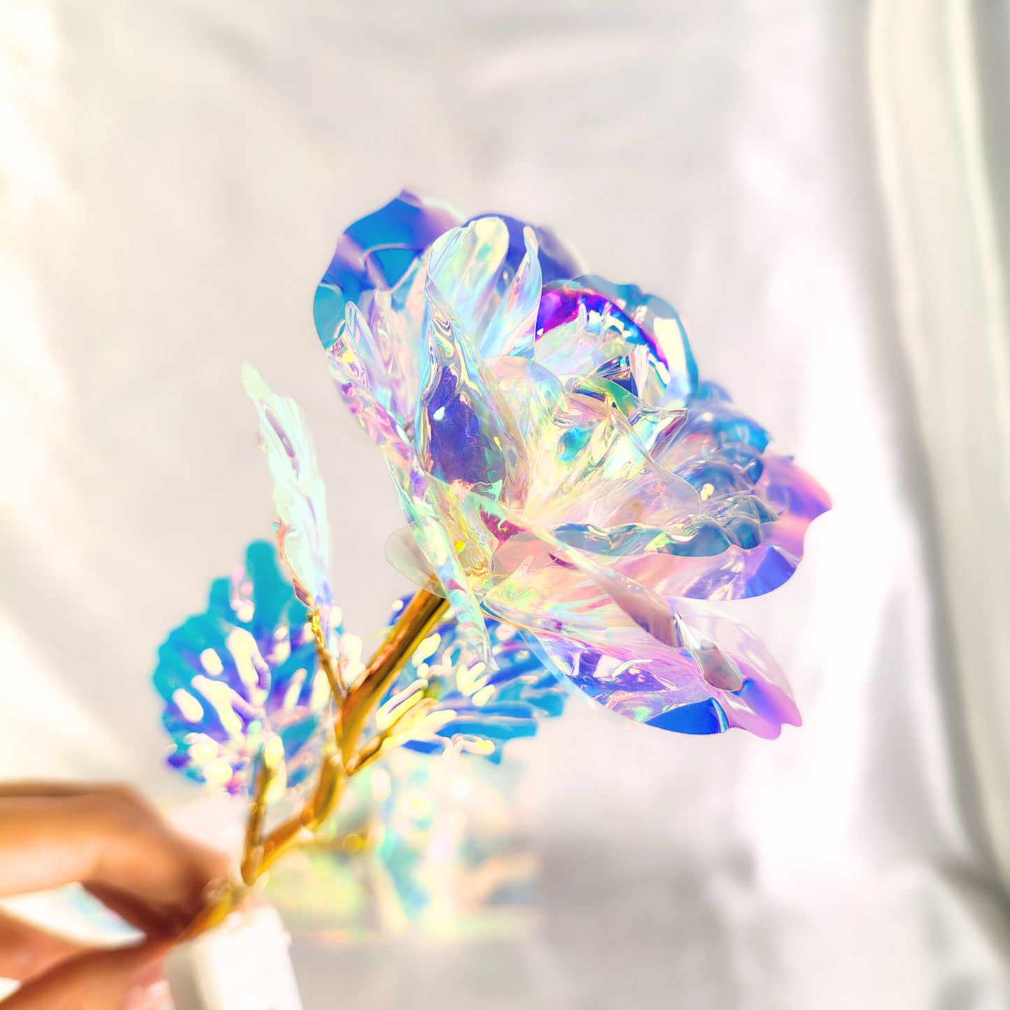 Rosa eterna tornasol con luz