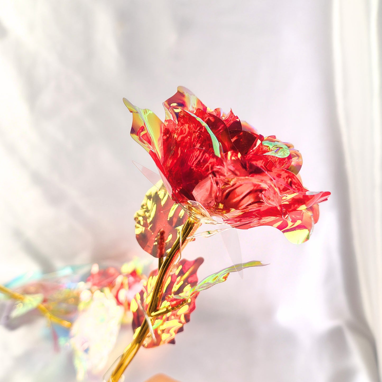 Rosa eterna tornasol con luz