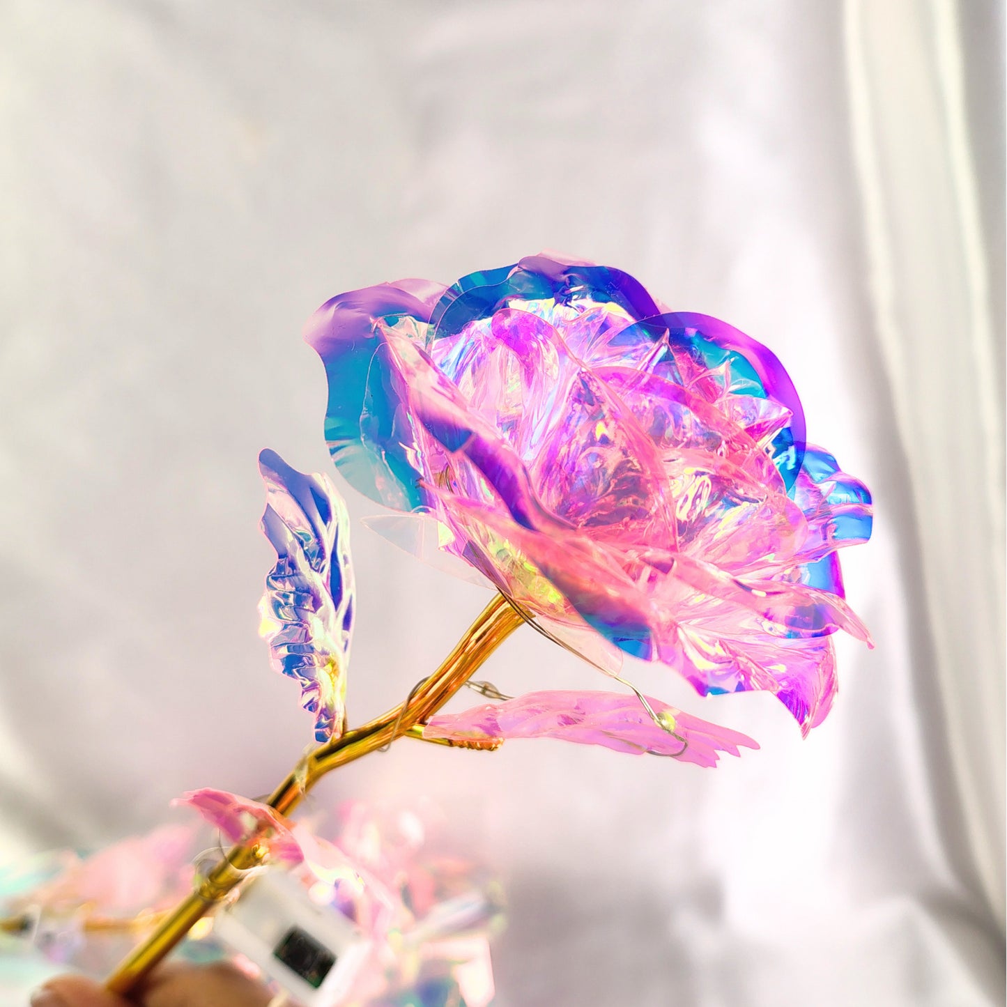 Rosa eterna tornasol con luz