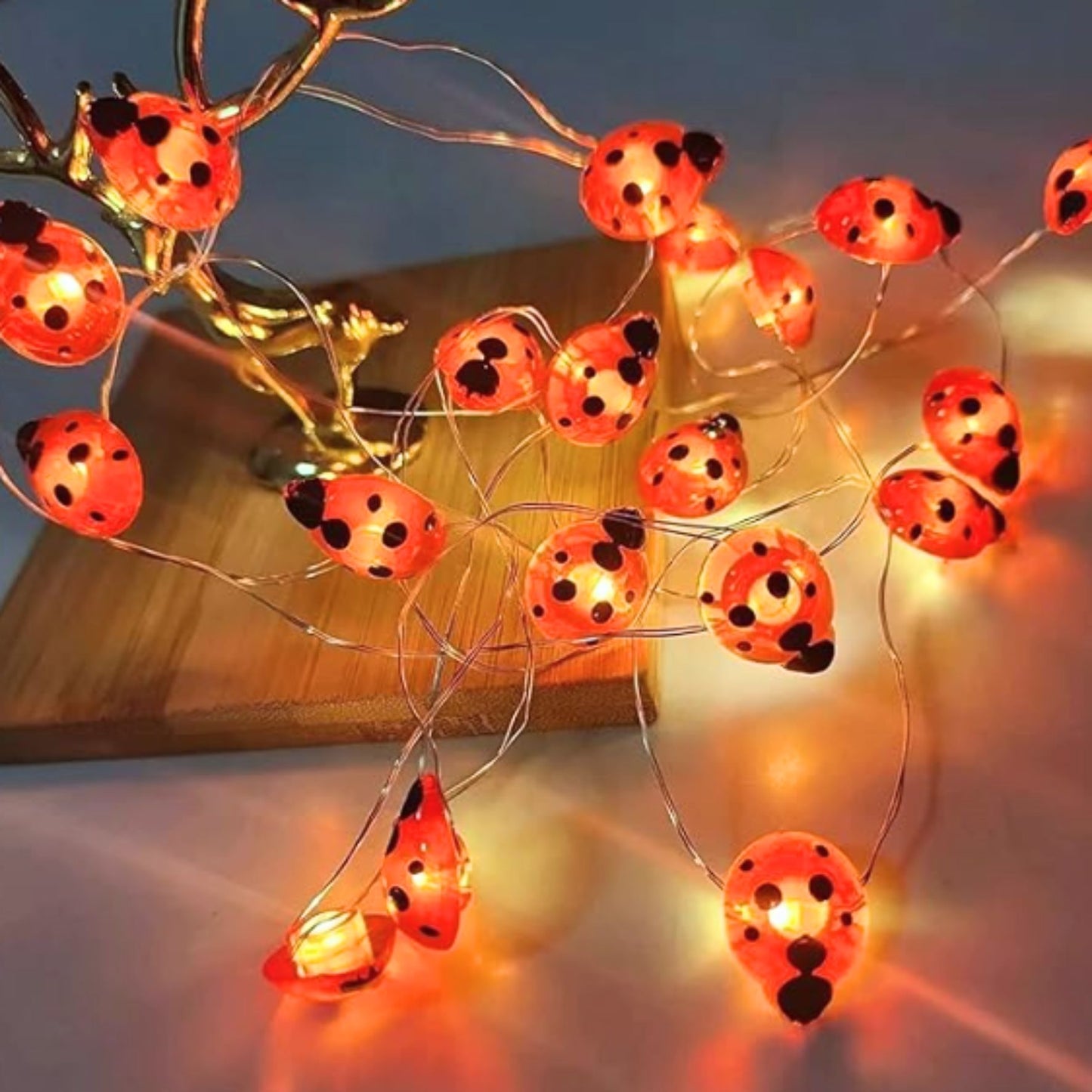 Luz de mariquitas